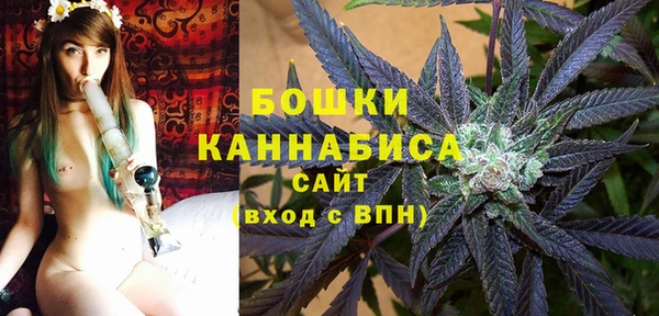 не бодяженный Медногорск