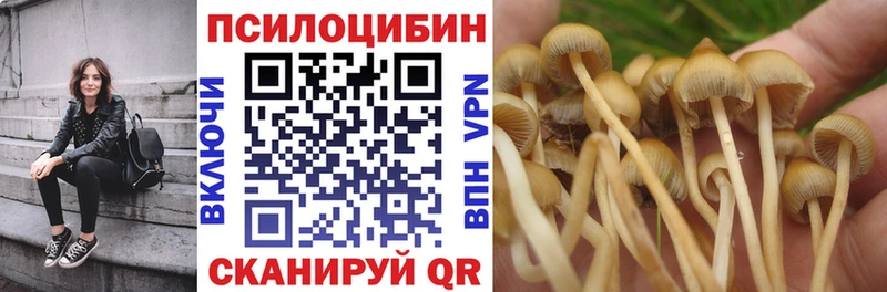 Псилоцибиновые грибы Magic Shrooms Новая Усмань