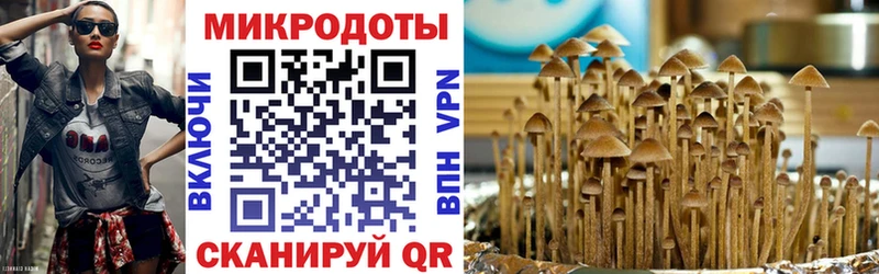 Псилоцибиновые грибы Cubensis  Купить где  Новая Усмань 