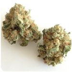 Шишки "White Widow"  (Белая вдова)  Гидропоника -  Бошка VHQ в Новой Усмани