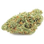 Шишки OG Kush  (Гидропоника, бошки) VHQ в Новой Усмани